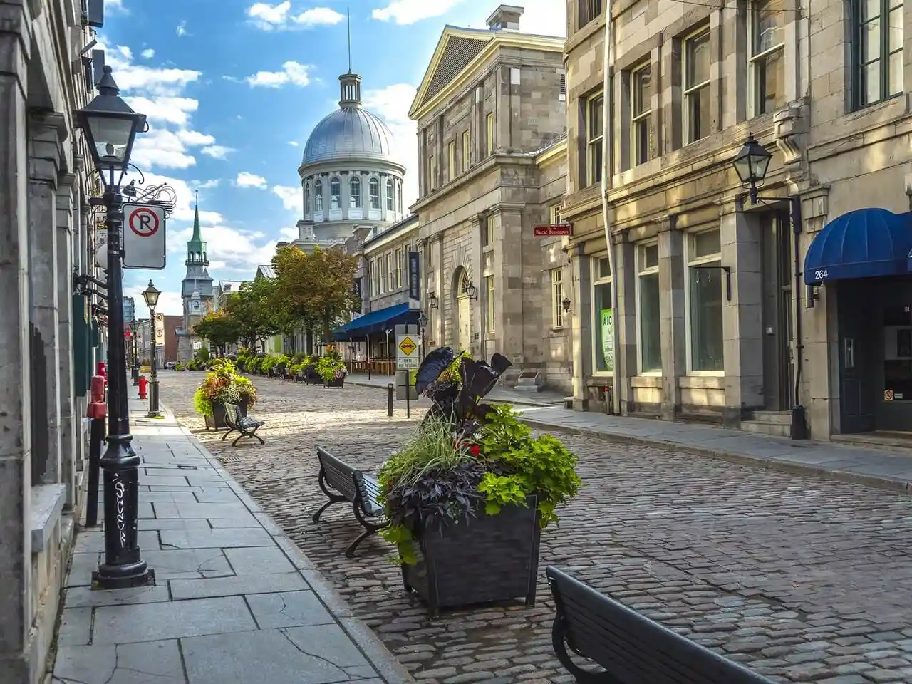 Rue pavée à Montréal bordée d\'immeubles en été