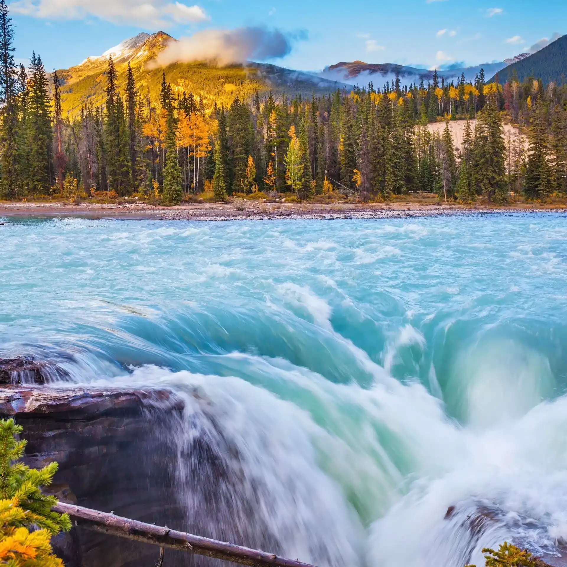 Vue sur les chutes Athabasca dans le parc national Jasper, déferlement puissant d\'eau bleue