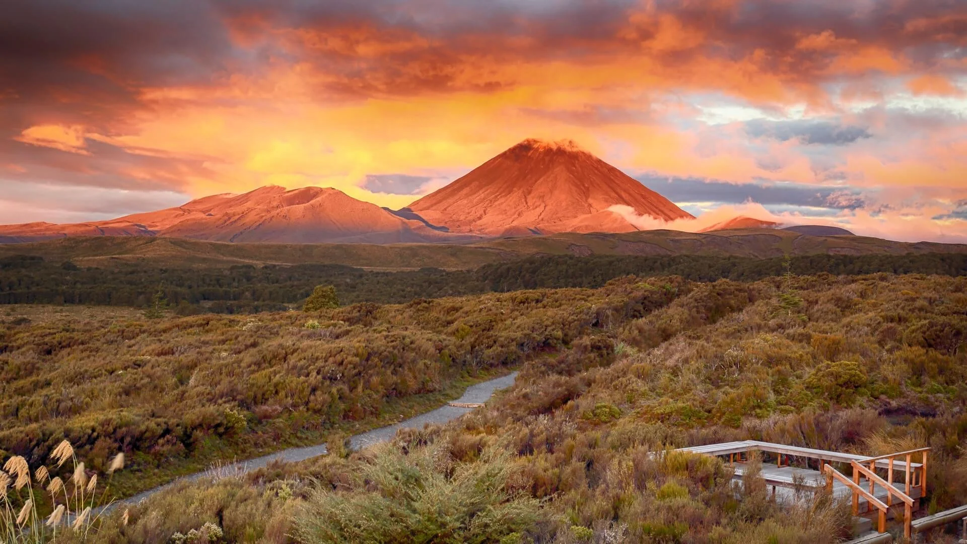 Chemin de campagne menant au mont Ngauruhoe dans le parc national de Tongariro au coucher de soleil