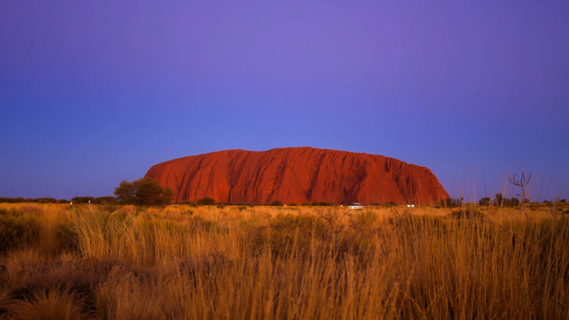 Vue sur l\'Uluru ou Ayers Rock dans l\'outback australien