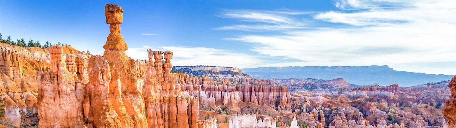 Vue panoramique sur les falaises de Bryce Canyon dans l\'Utah aux USA